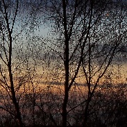 <font class="tempImageTitleThumbText">Mercury,Venus,Saturn,Mars.</font><br>Honor Wheeler<br>Jan 28 7:02pm<br>Wilmington,UK.