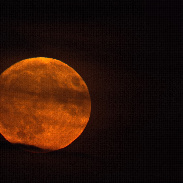 <font class="tempImageTitleThumbText">Erdbeermond</font><br>Horst Peter Franzen<br>Jun 30 8:09am<br>54552 Mehren, Deutschland