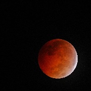 <font class="tempImageTitleThumbText">Lunar Eclipse</font><br>Howard Cohen<br>Oct 8 3:17pm<br>Gainesville,Florida USA