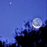 <font class="tempImageTitleThumbText">Crescent Moon With Venus And Mars</font><br>Howard Cohen<br>Feb 21 4:33am<br>Gainesville, Florida USA