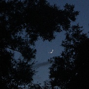 <font class="tempImageTitleThumbText">Venus And Moon</font><br>Howard Eskildsen<br>Jun 16 1:18am<br>Ocala, Florida, USA