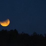 <font class="tempImageTitleThumbText">Lunar Eclipse</font><br>Howard L Cohen<br>Jan 31 3:40pm<br>Gainesville, Florida USA