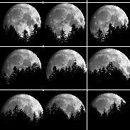 <font class="tempImageTitleThumbText">Moon Setting In The Woods</font><br>Hubertus Riedesel<br>Jun 28 12:12pm<br>Heidelberg, Germany