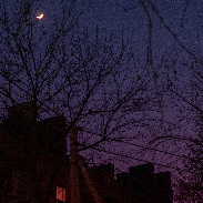 <font class="tempImageTitleThumbText">Moon, Jupiter, Venus </font><br>Iryna Mosiiash<br>Feb 24 5:51am<br>Kropyvnytskyi, Ukraine