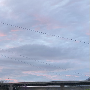 <font class="tempImageTitleThumbText">Noctilucent Cloud</font><br>Isobel<br>Jul 3 9:24pm<br>Aberdeen, Scotland
