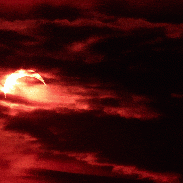 <font class="tempImageTitleThumbText">Solar Eclipse</font><br>Ivar Hamberg<br>Aug 14 2:21pm<br>Stockholm, Sweden