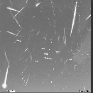 <font class="tempImageTitleThumbText">Geminids 2015</font><br>Jakub Koukal<br>Dec 18 1:05pm<br>Kromeriz, Czech Republic