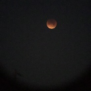 <font class="tempImageTitleThumbText">Total Lunar Eclipse </font><br>James G. Rodriguez<br>Jan 31 1:44pm<br>Big Spring, Texas, USA