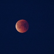 <font class="tempImageTitleThumbText">Total Lunar Eclipse</font><br>James Manning<br>Jan 31 3:37pm<br>Bozeman, MT