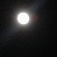 <font class="tempImageTitleThumbText"> 2 Moons </font><br>James McKee<br>Jul 25 1:25pm<br>San Jose CA
