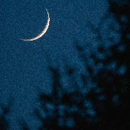 <font class="tempImageTitleThumbText">Sliver Moon</font><br>James Perez-Rogers<br>Dec 23 1:32pm<br>Kingston, New York