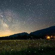 <font class="tempImageTitleThumbText">Milkyway And Fireflies</font><br>James Perez-Rogers<br>Jul 12 4:24pm<br>Olive, NY