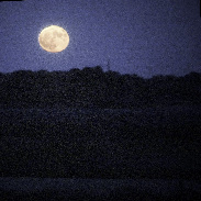 <font class="tempImageTitleThumbText">Once In A Blue Moon</font><br>James Roger Samworth<br>Jun 1 9:54am<br>Nailstone, Leicestershire UK