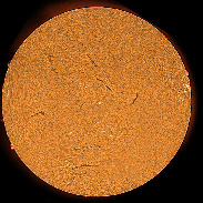 <font class="tempImageTitleThumbText">ARs 4515-4520 Filaments And Prominences</font><br>James Roger Samworth<br>Aug 30 10:17pm<br>Nailstone, Leicestershire UK
