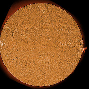 <font class="tempImageTitleThumbText">ARs 4506-4513 Filaments And Prominences</font><br>James Roger Samworth<br>Aug 21 9:55am<br>Nailstone, Leicestershire UK