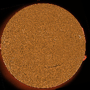<font class="tempImageTitleThumbText">ARs 4439=4444 Filaments And Prominences</font><br>James Roger Samworth<br>May 23 11:13pm<br>Nailstone, Leicestershire UK