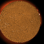 <font class="tempImageTitleThumbText">ARs 4489-4496 Filaments And Prominences</font><br>James Roger Samworth<br>Jul 24 10:48pm<br>Nailstone, Leicestershire UK