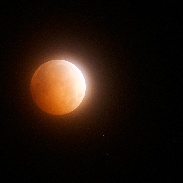<font class="tempImageTitleThumbText">Total Lunar Eclipse</font><br>Jan Curtis<br>Oct 8 5:08pm<br>11 miles south of Santa Fe, NM