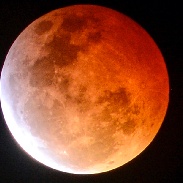 <font class="tempImageTitleThumbText">Total Lunar Eclipse</font><br>Jan Curtis<br>Jan 22 2:58am<br>Cheyenne, WY