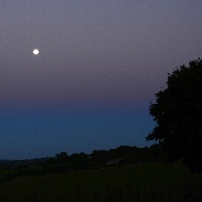 <font class="tempImageTitleThumbText">Belt Of Venus</font><br>Jan Koeman<br>Jul 20 7:54am<br>Bodmin Moor, Cornwall, UK