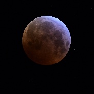 <font class="tempImageTitleThumbText">Total Lunar Eclipse</font><br>Jan Koeman<br>Jan 21 9:51am<br>Vlissingen, the Netherlands