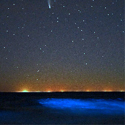 <font class="tempImageTitleThumbText">Seaspark And NEOWISE</font><br>Jan Koeman<br>Jul 21 8:22am<br>Domurg, the Netherlands