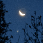 <font class="tempImageTitleThumbText">Venus And Moon Conjunction</font><br>Jan Koeman<br>Nov 9 9:08am<br>Kloetinge, the Netherlands