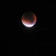 <font class="tempImageTitleThumbText">Total Lunar Eclipse</font><br>Jason Evans<br>Sep 28 7:24pm<br>Eastleigh