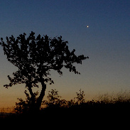 <font class="tempImageTitleThumbText">Moon And Venus</font><br>Jean-Baptiste FELDMANN<br>Jul 27 1:33pm<br>Glaizé, France