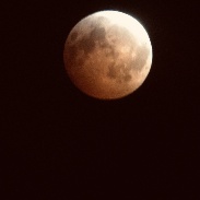 <font class="tempImageTitleThumbText">Total Lunar Eclipse Jan. 20-21, 2019</font><br>Jean Bignon<br>Jan 23 1:59pm<br>Altamonte Springs Florida USA
