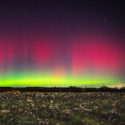 <font class="tempImageTitleThumbText">Auroras</font><br>Jeff Berkes<br>Nov 12 4:46am<br>Exton, PA