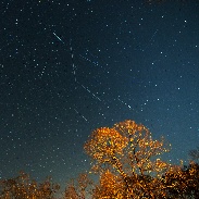 <font class="tempImageTitleThumbText">Geminid Meteors</font><br>Jeff Stephens<br>Dec 14 11:51pm<br>This is a composite of all the 