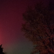 <font class="tempImageTitleThumbText">Auroras</font><br>Jessica Powers<br>Nov 12 4:50am<br>Noblesville, Indiana