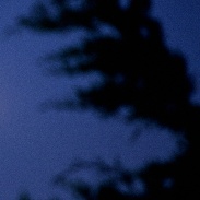 <font class="tempImageTitleThumbText">Total Lunar Eclipse, January 31th 2018</font><br>Jesus Gutierrez<br>Jan 31 1:58pm<br>Mexico City, Mexico