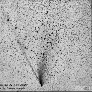 <font class="tempImageTitleThumbText">Comet Neowise</font><br>Jesus Pelaez<br>Jul 30 4:28pm<br>Lodoso, Burgos, Spain