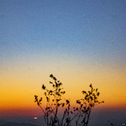 <font class="tempImageTitleThumbText"> Venus, Mercury, And The Waning Moon And </font><br>Ji-Hoon Kim<br>Nov 15 2:47am<br>Observed in Seoul, Korea.