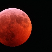 <font class="tempImageTitleThumbText">Total Lunar Eclipse</font><br>Jim Fakatselis<br>Jan 21 7:24am<br>Peppermill Skies Observatory  H