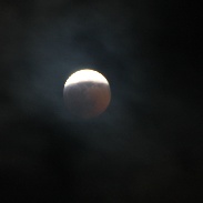 <font class="tempImageTitleThumbText">Lunar Eclipse</font><br>Jim Tegerdine<br>Jan 21 10:48am<br>Marysville, Washington, USA
