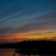 <font class="tempImageTitleThumbText">Moon Venus Betelgeuse</font><br>Jim<br>May 19 9:27pm<br>Ulster County