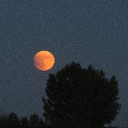<font class="tempImageTitleThumbText">Lunar Eclipse</font><br>Jo Belasco<br>Sep 28 3:36am<br>Longmont, CO