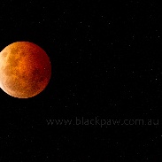 <font class="tempImageTitleThumbText">Lunar Eclipse</font><br>Jo Malcomson<br>Oct 9 2:34am<br>Sandford, Tasmania, Australia