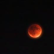 <font class="tempImageTitleThumbText">Supermoon Lunar Eclipse Of 2015</font><br>Jodie Reynolds<br>Sep 28 3:09am<br>Sacramento, California, USA