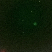<font class="tempImageTitleThumbText">Ring Nebula And Sunspots</font><br>Joe Bindhardt<br>May 29 7:49am<br>Schmalenberg and Lachen Speyerd