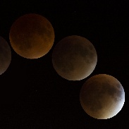 <font class="tempImageTitleThumbText">Lunar Eclipse</font><br>Joe Fisher<br>Sep 29 12:31am<br>Minnetonka, Minnesota