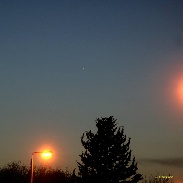 <font class="tempImageTitleThumbText">Mercury And Venus.</font><br>John C McConnell<br>Mar 7 8:37pm<br>Maghaberry Northern Ireland.