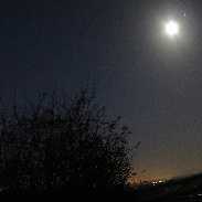 <font class="tempImageTitleThumbText">Venus, Saturn, Mars And Jupiter</font><br>John Dartnell<br>Jan 28 6:16pm<br>North Wiltshire, UK