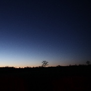 <font class="tempImageTitleThumbText">Venus And Jupiter</font><br>John Dartnell<br>Jan 28 7:18pm<br>North Wiltshire, UK