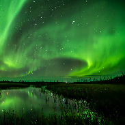 <font class="tempImageTitleThumbText">The Aurora Borealis Dancing Over A Boreal</font><br>John David McKinnon<br>Sep 20 11:59am<br>Foxholes Marsh, Northwest Terri