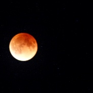 <font class="tempImageTitleThumbText">Lunar Eclipse</font><br>John Dean<br>Jan 31 4:34pm<br>Nome, Alaska