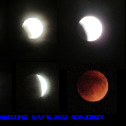 <font class="tempImageTitleThumbText">Total Lunar Eclipse</font><br>John Magliacane<br>May 16 2:15pm<br>Wall Township, New Jersey, USA